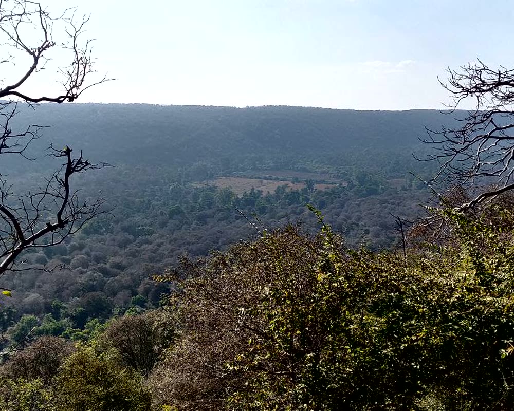 Long forested valley between Mukundara hill slopes