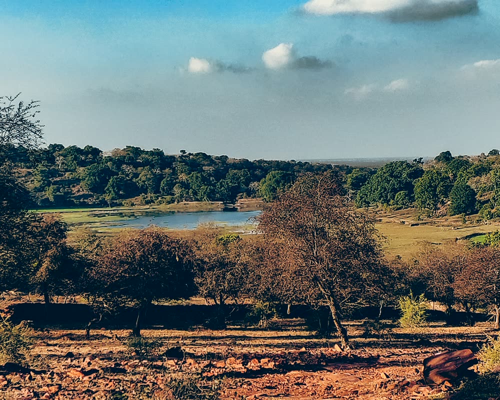 Water body and dry forest in the Mukundara landscape