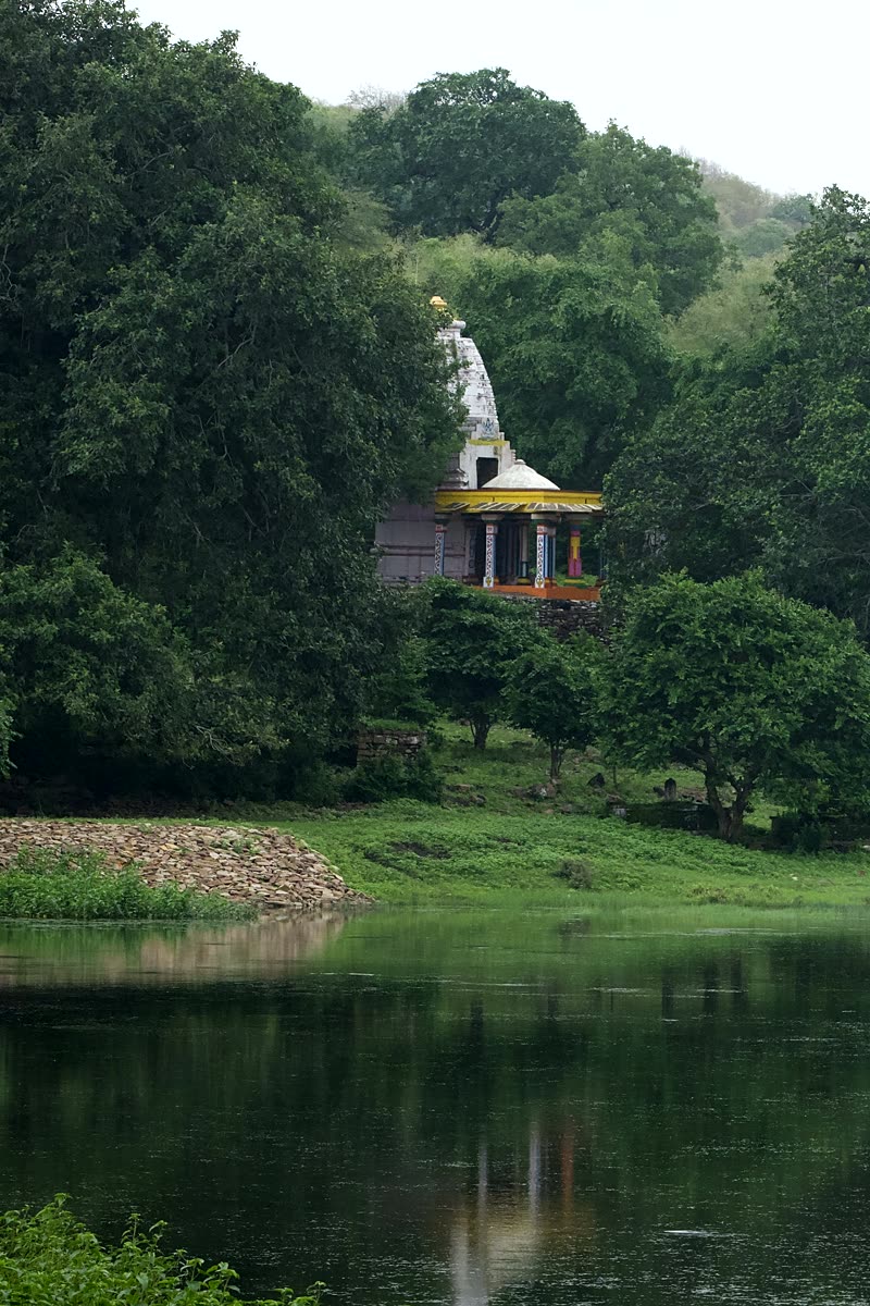 Temple, forested hill and water in the Mukundara landscape