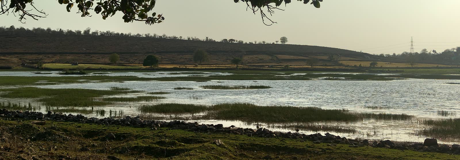 Open summer waterbody in the Mukundara landscape