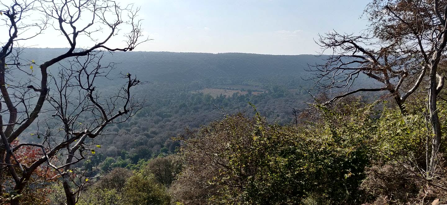 Long wooded valley and ridge system in Mukundara Hills