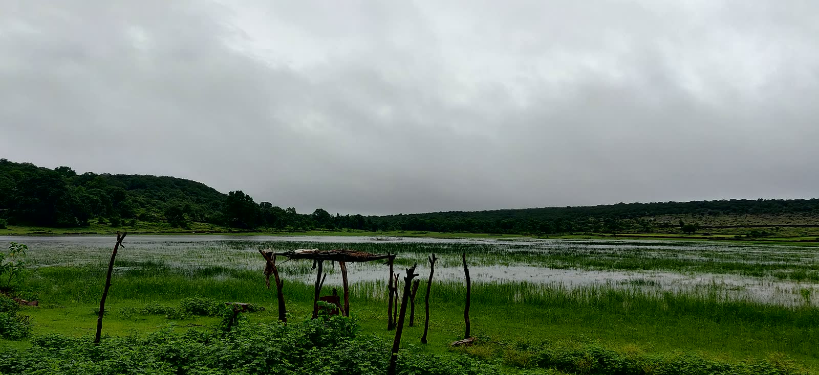 Monsoon waterbody and green slopes in Mukundara