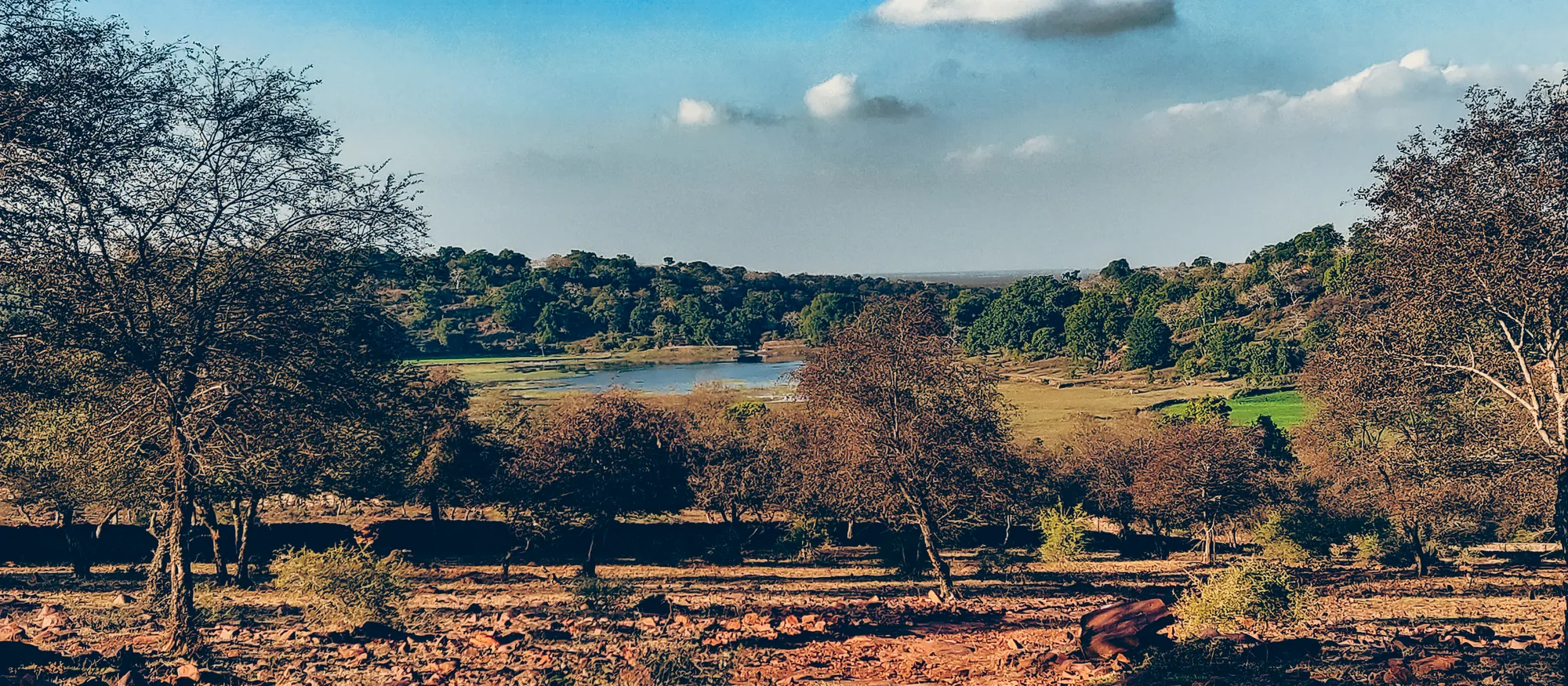 Fields and seasonal wetland at Mandirgarh