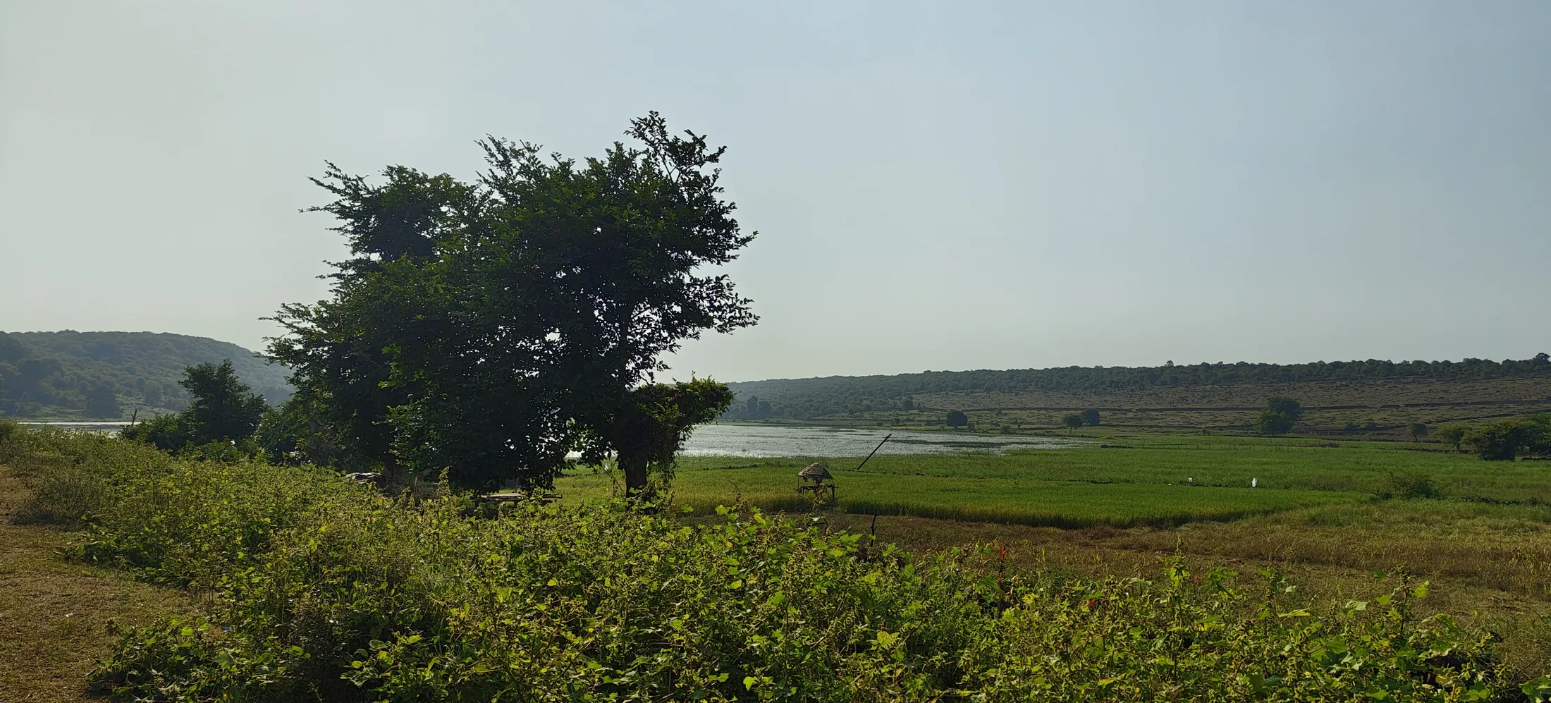 Mandirgarh waterbody, farmland and wooded hills in the green season
