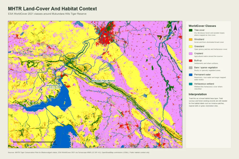 ESA WorldCover land-cover map around Mukundara Hills Tiger Reserve showing tree cover, grassland, shrubland, cropland, built-up area and water